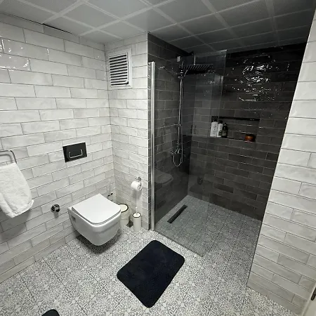 Luxury Terrace House In
