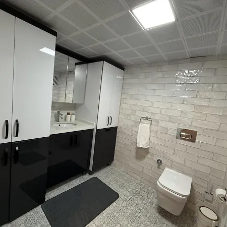 Luxury Terrace House In